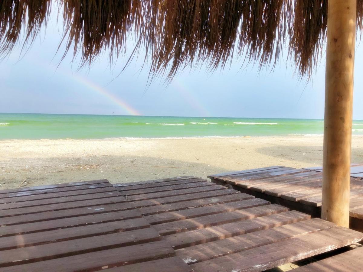 Apartament Estrella De Mar Năvodari Zewnętrze zdjęcie